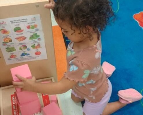 Dual-Military Parents