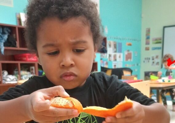 day care center in Columbia County