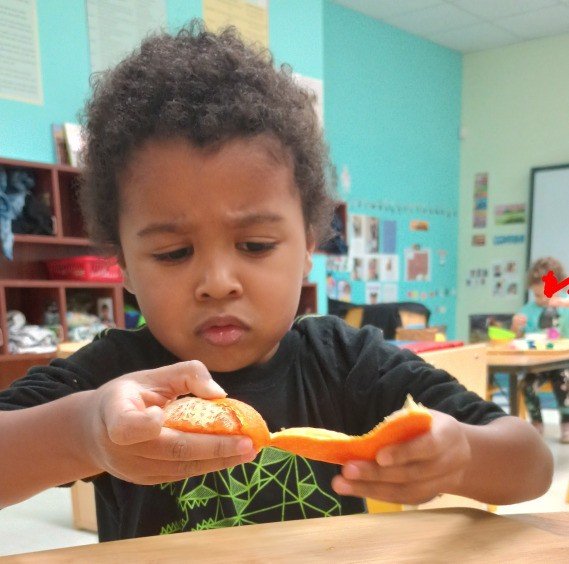 day care center in Columbia County